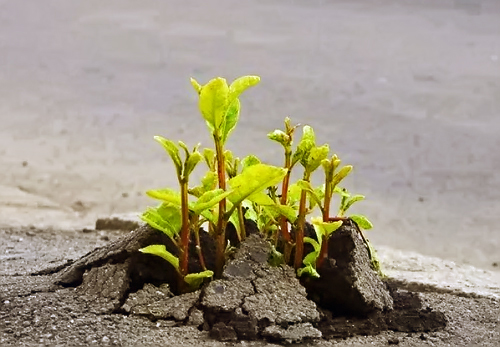 Chuyên gia phong thủy truyền lại 9 lời dặn, ai làm được sẽ an nhiên suốt cuộc đời!