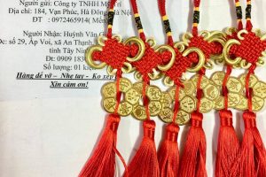 Thu hút thịnh vượng bằng tiền xu phong thủy