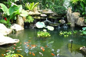 Tận dụng năng lượng nước trong phong thủy nhà ở để hút tài hút lộc