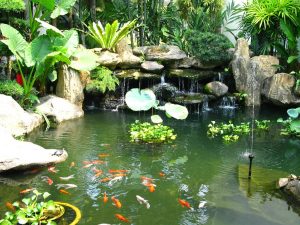 Vận dụng phong thủy trong kinh doanh hinh2
