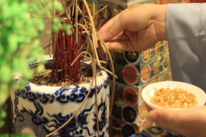Cách bốc bát hương linh