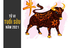 Xem tử vi người tuổi Sửu năm 2021 chính xác và đầy đủ nhất