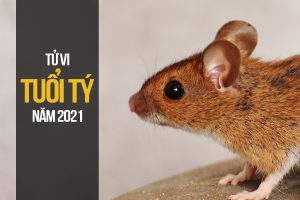 Xem tử vi người tuổi Tý năm 2021 chính xác và đầy đủ nhất