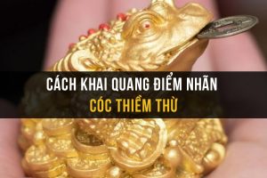 7 bước chuẩn bị và cách khai quang điểm nhãn cho cóc thiềm thừ