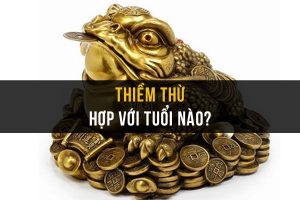 Thiềm thừ hợp với tuổi nào?