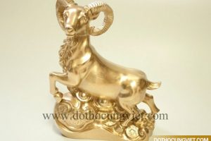 Cách chọn vật phẩm phong thủy hợp tuổi, mệnh gia chủ