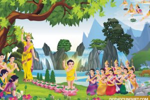 Tìm hiểu nguồn gốc và ý nghĩa Đại lễ Phật Đản