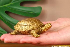 Gợi ý cách chọn linh vật phong thủy giúp mang lại tài vận cho chủ nhân