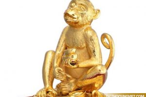 Tìm hiểu ý nghĩa linh vật tuổi Thân – Khỉ phong thủy