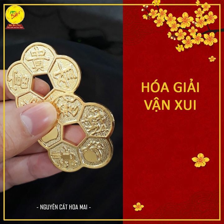 Hoa mai kim tiền mạ vàng 24k